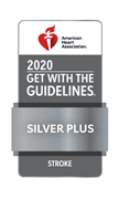Gwtg Stroke Plus 2020 Silver 4c